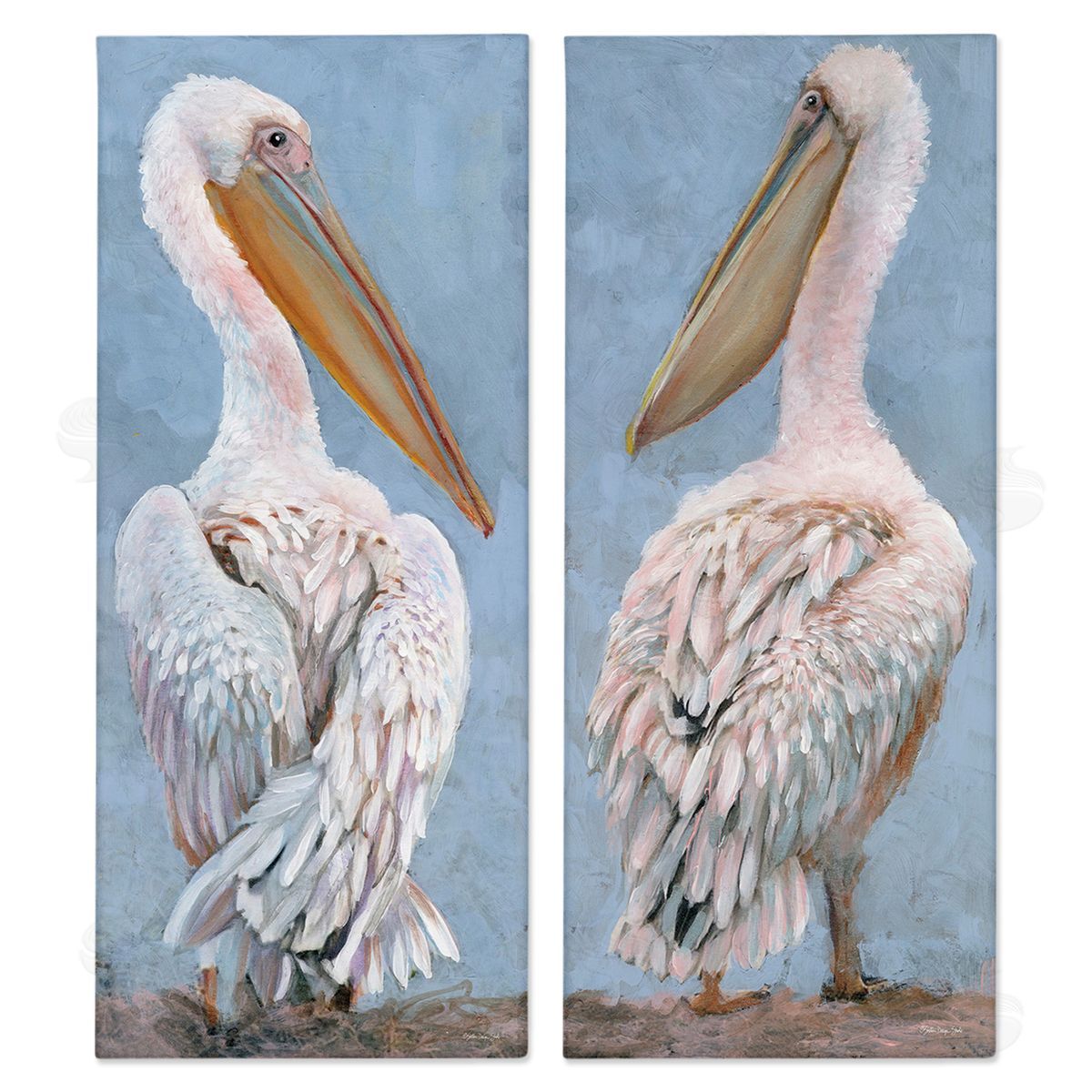 Stellar Design Studio Classic Pelicans Gazing Canvas Wall Art Print