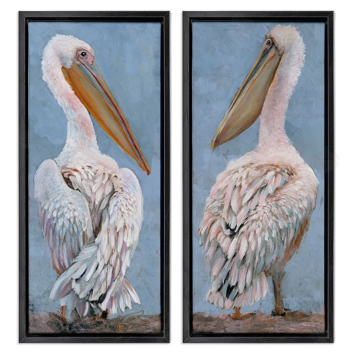 Stellar Design Studio Classic Pelicans Gazing Black Floating Frame Canvas Wall Art Print