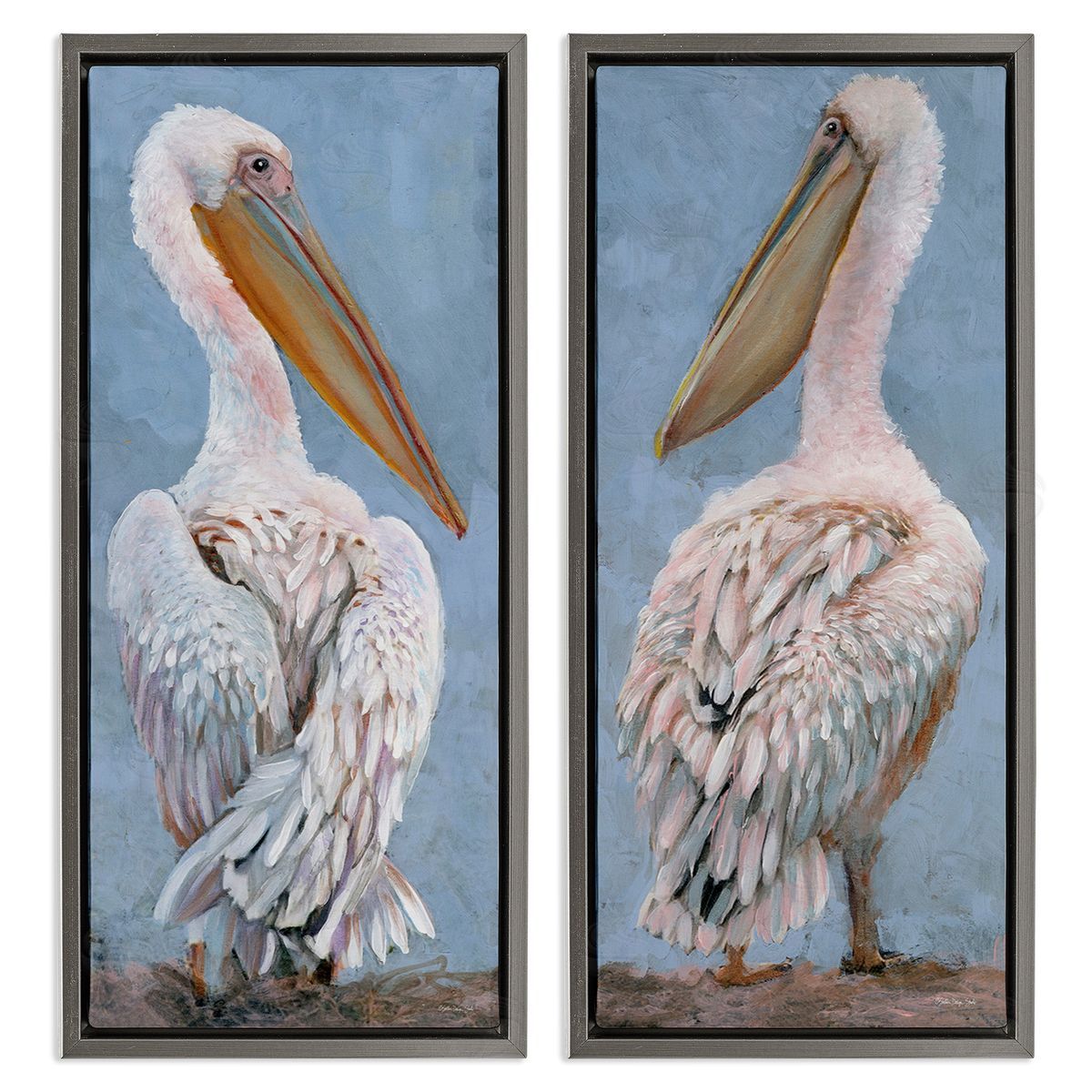 Stellar Design Studio Classic Pelicans Gazing Gray Floating Frame Canvas Wall Art Print