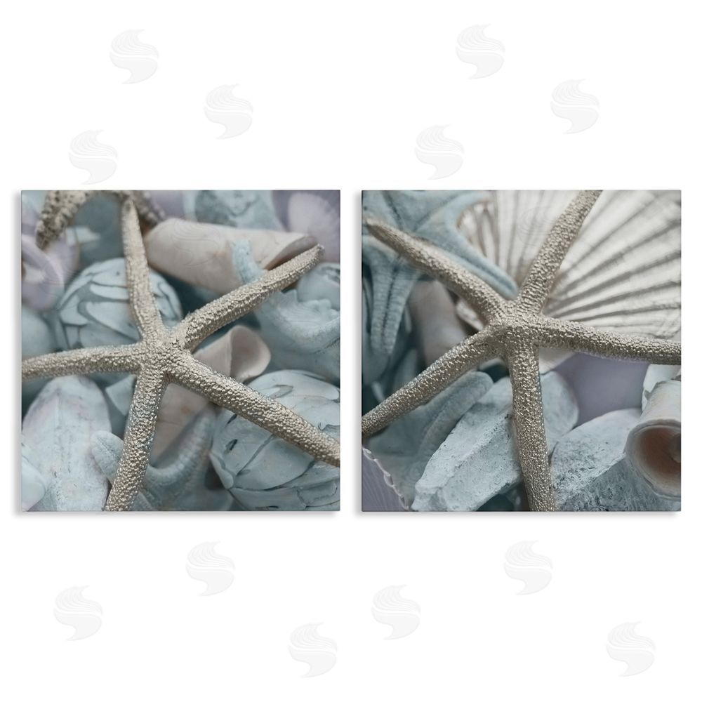 Susan Bryant Dry Distressed Starfish Canvas Wall Art Print