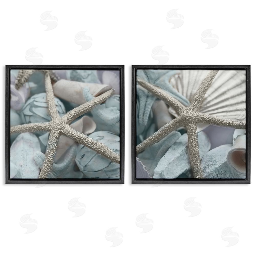 Susan Bryant Dry Distressed Starfish Black Floating Frame Canvas Wall Art Print