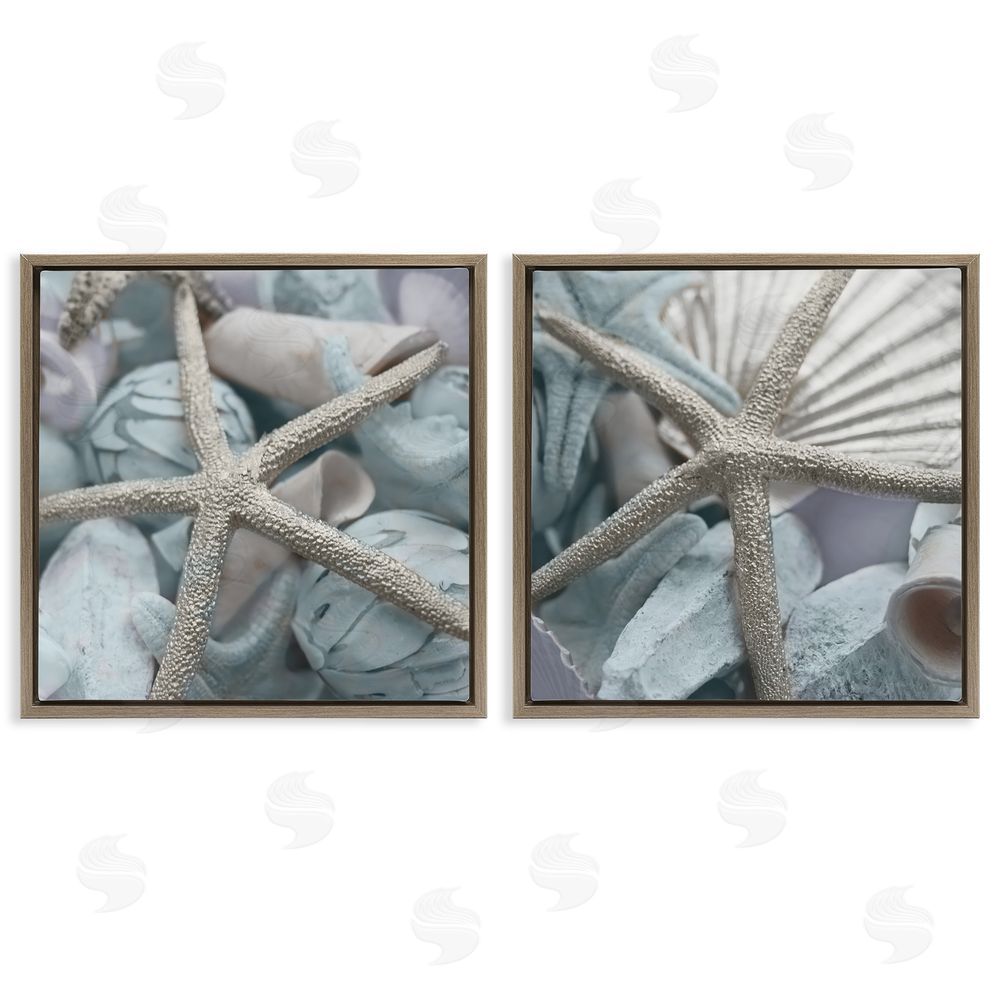 Susan Bryant Dry Distressed Starfish Brown Floating Frame Canvas Wall Art Print