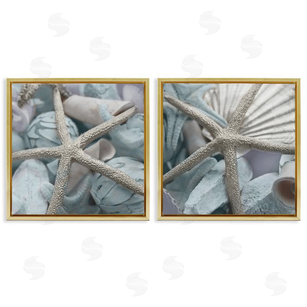 Susan Bryant Dry Distressed Starfish Gold Floating Frame Canvas Wall Art Print