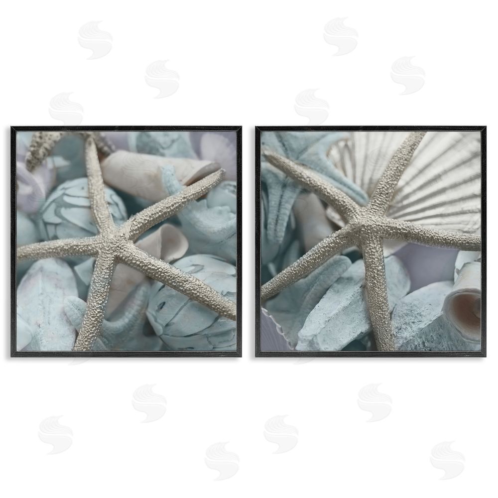 Susan Bryant Dry Distressed Starfish Black Framed Giclee Wall Art Print