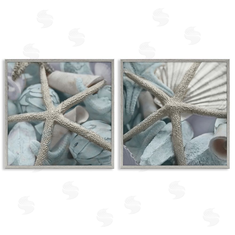Susan Bryant Dry Distressed Starfish Gray Framed Giclee Wall Art Print