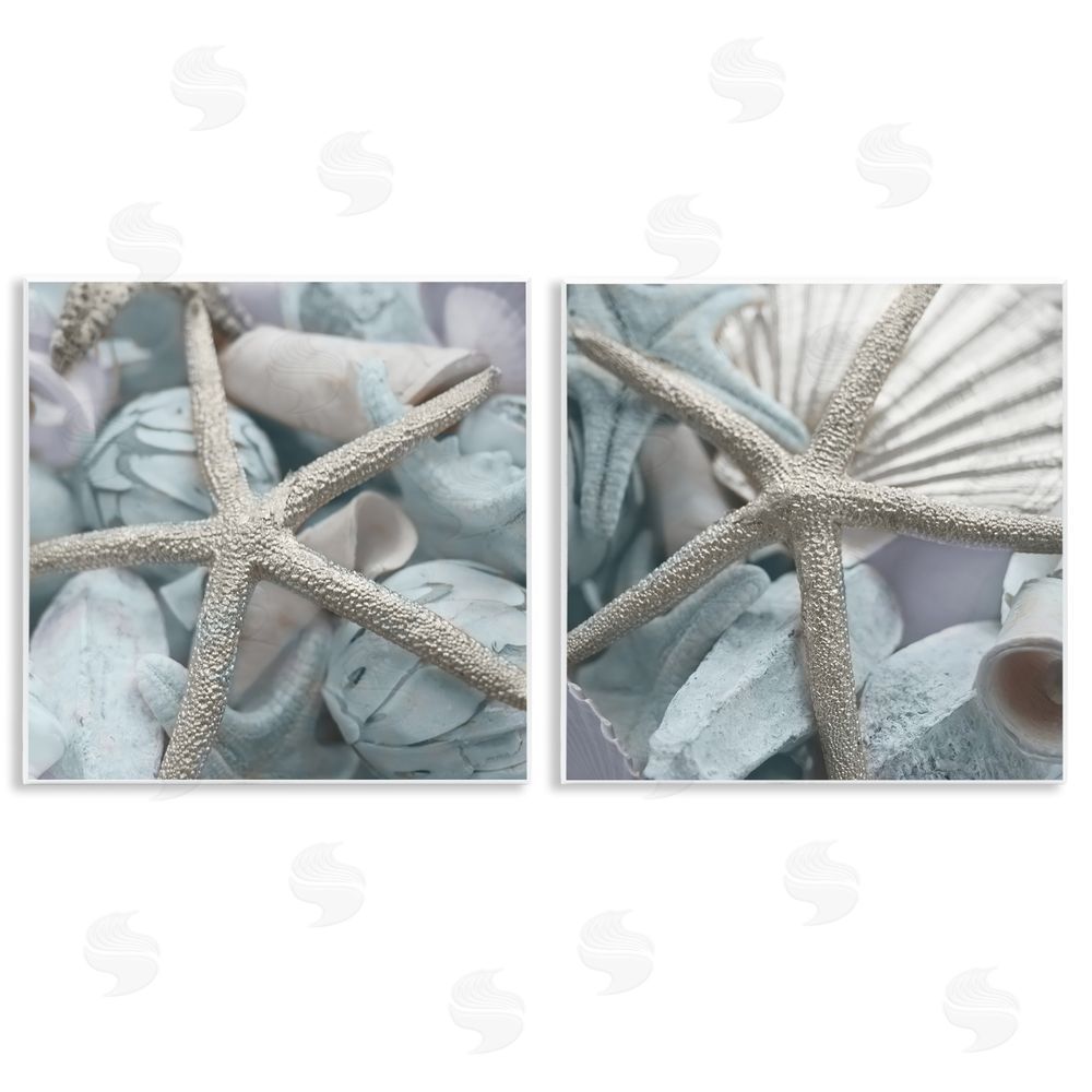 Susan Bryant Dry Distressed Starfish Wooden Wall Plaque Art Print