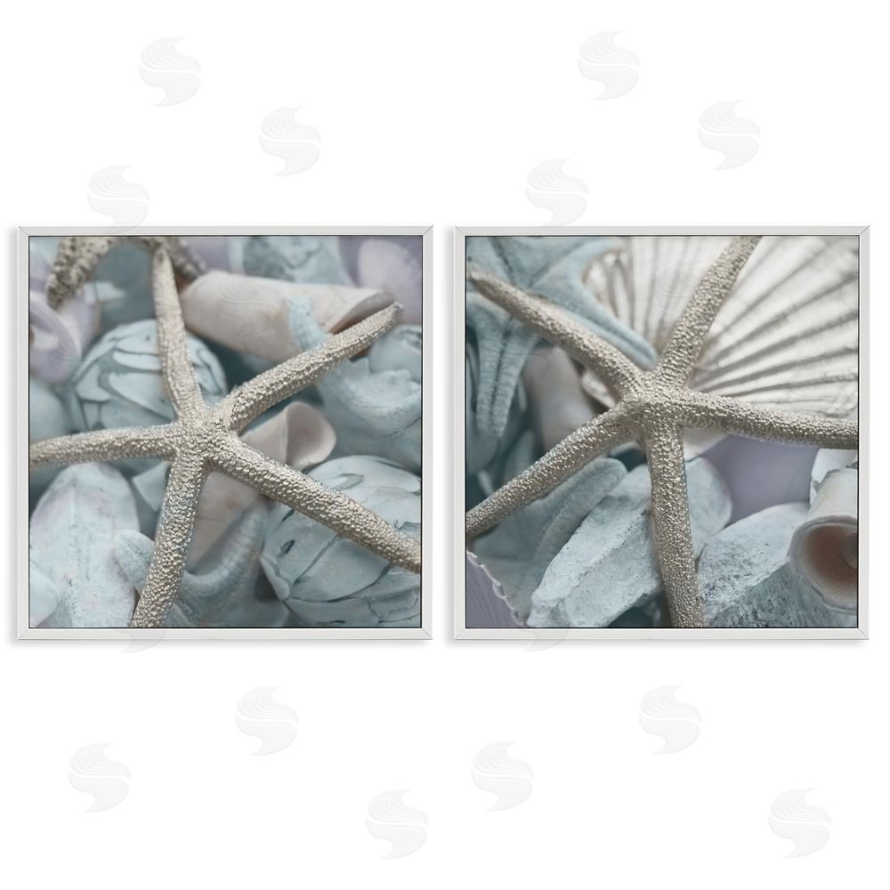 Susan Bryant Dry Distressed Starfish White Framed Giclee Wall Art Print
