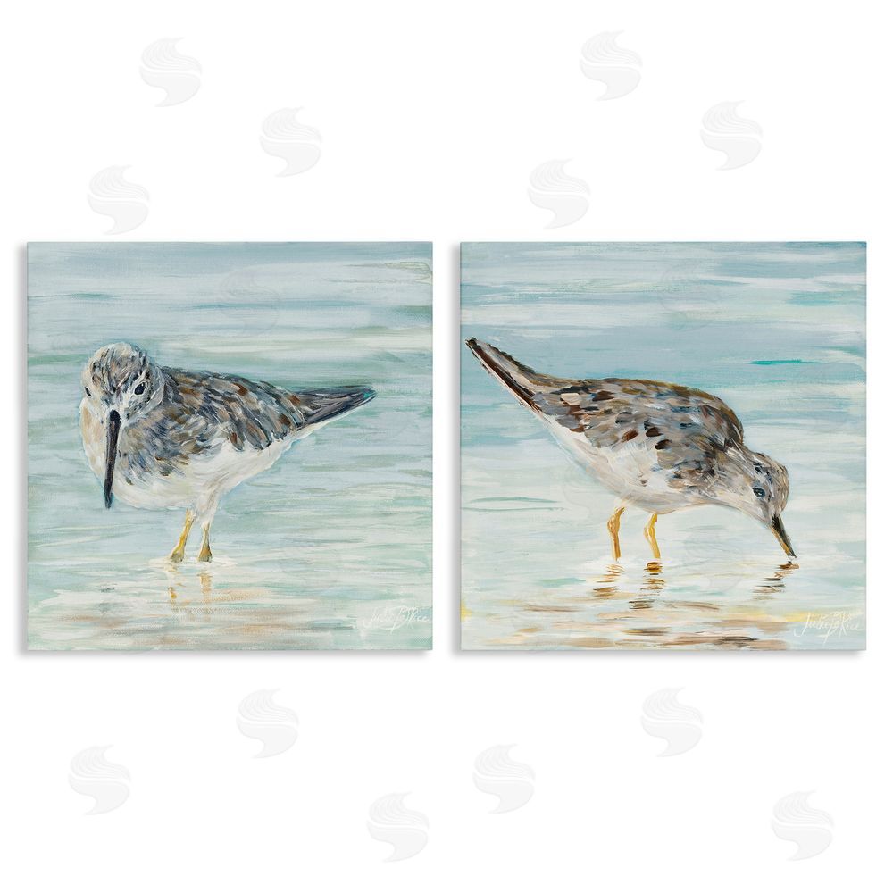 Julie DeRice Piping Plover Shoreline Birds Canvas Wall Art Print