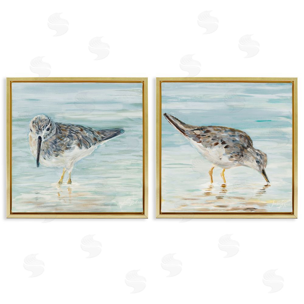 Julie DeRice Piping Plover Shoreline Birds Gold Floating Frame Canvas Wall Art Print