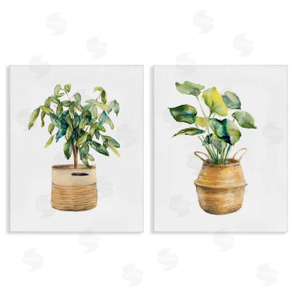 Lanie Loreth Lush Houseplants in Wicker Pots Canvas Wall Art Print