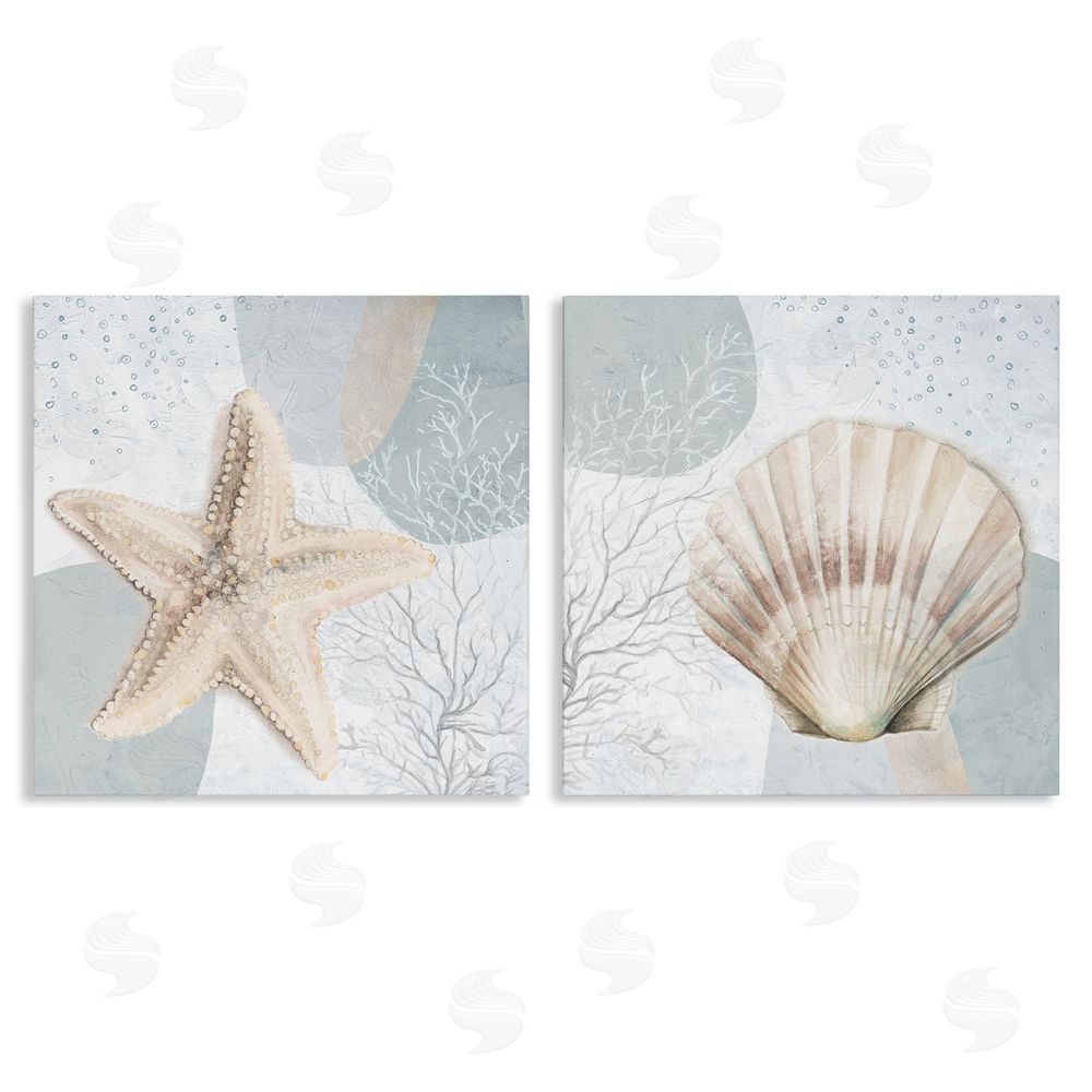 Patricia Pinto Scallop Starfish Sealife Canvas Wall Art Print