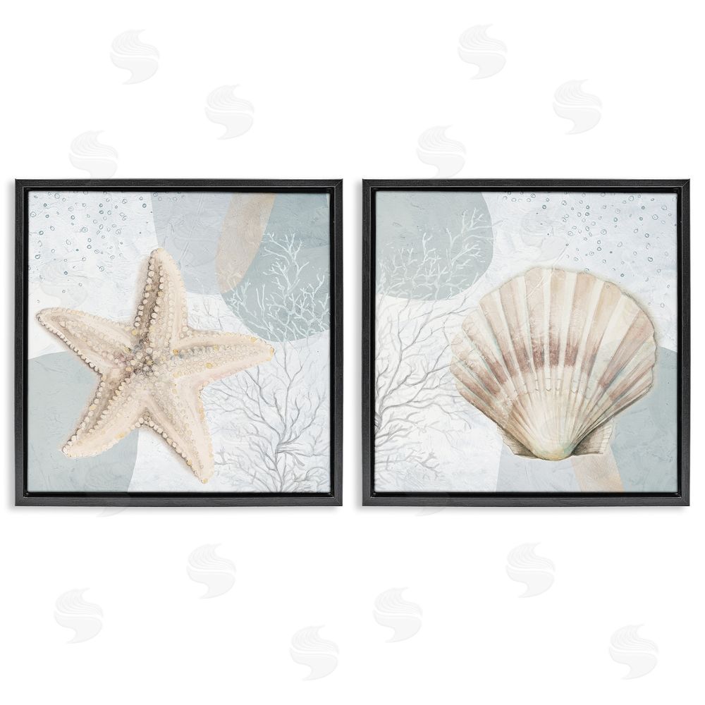 Patricia Pinto Scallop Starfish Sealife Black Floating Frame Canvas Wall Art Print