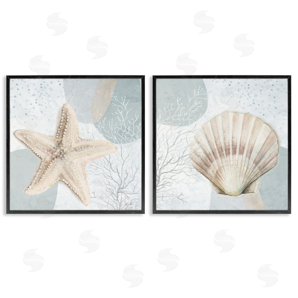 Patricia Pinto Scallop Starfish Sealife Black Framed Giclee Wall Art Print