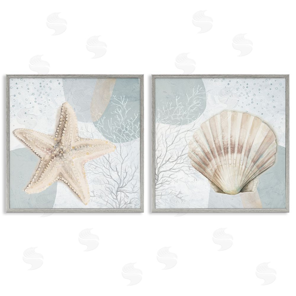 Patricia Pinto Scallop Starfish Sealife Gray Framed Giclee Wall Art Print
