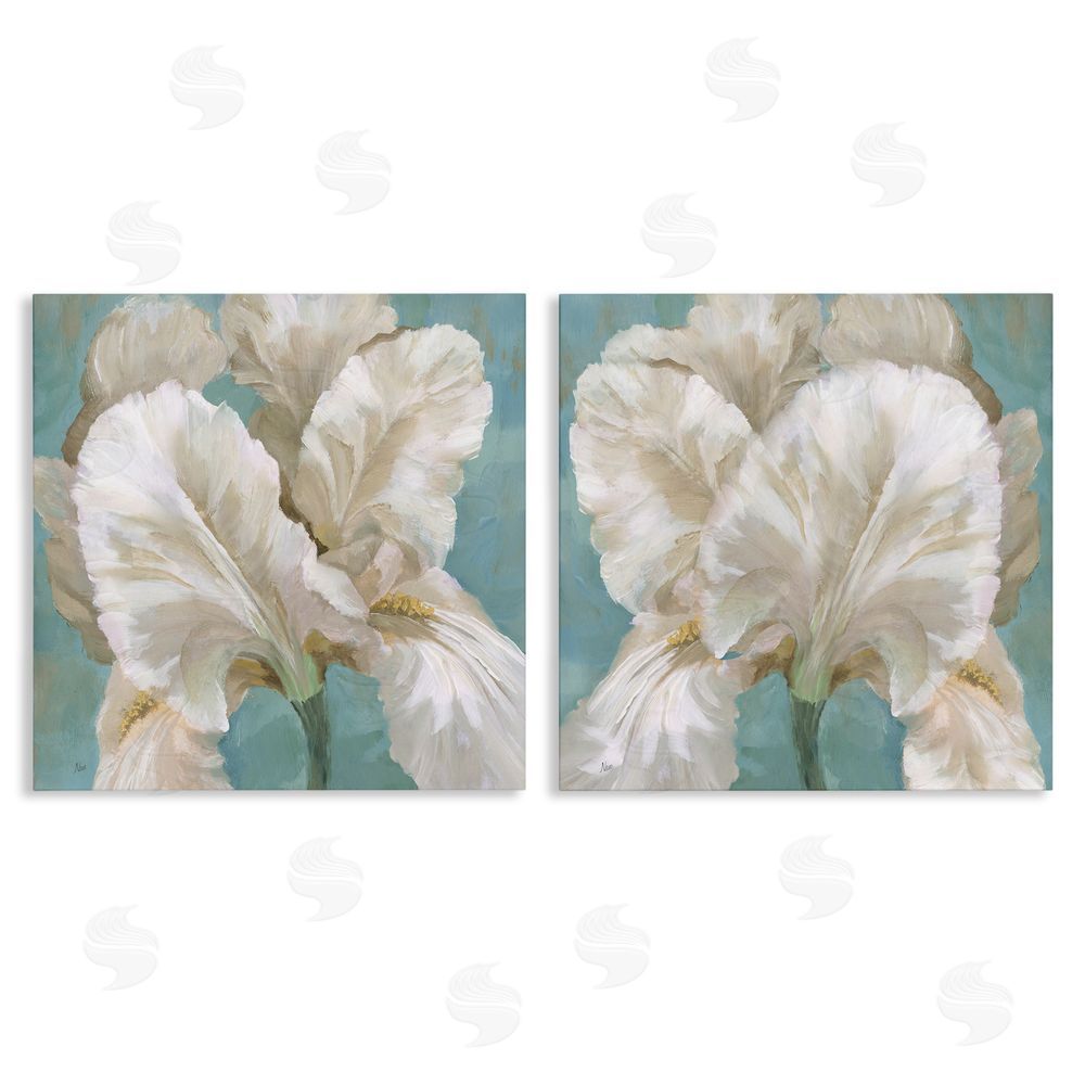 Nan White Iris Flower Canvas Wall Art Print