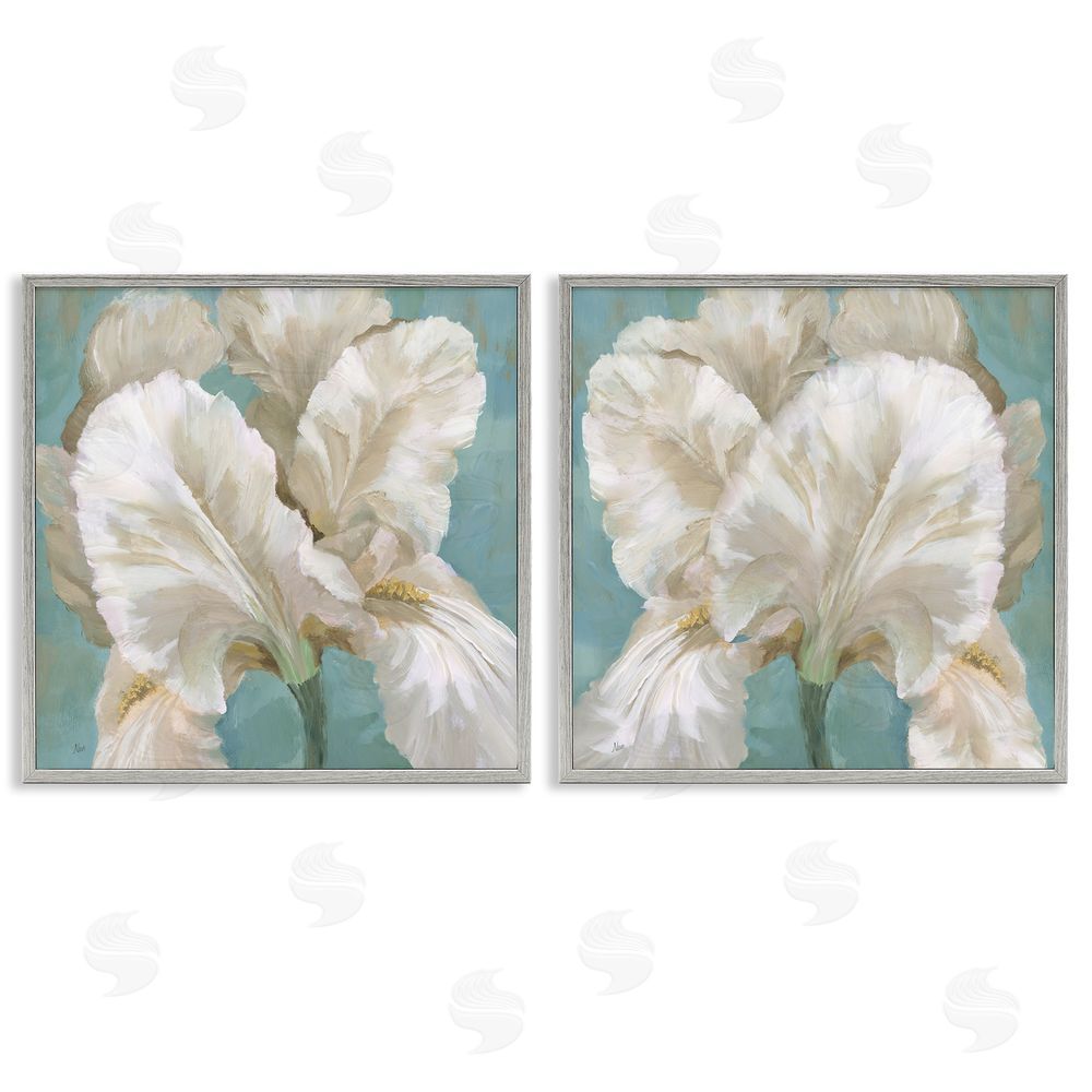 Nan White Iris Flower Gray Framed Giclee Wall Art Print