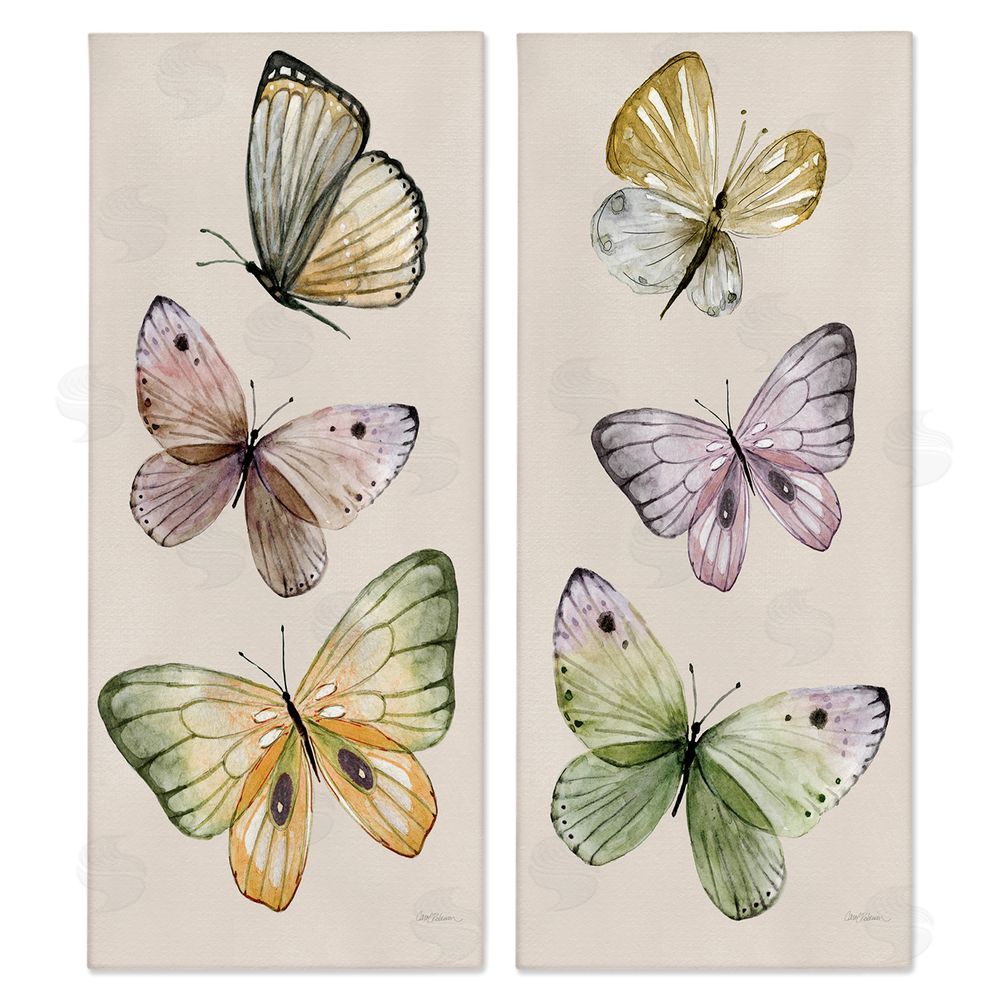 Carol Robinson Delicate Winged Butterfly Trio Canvas Wall Art Print