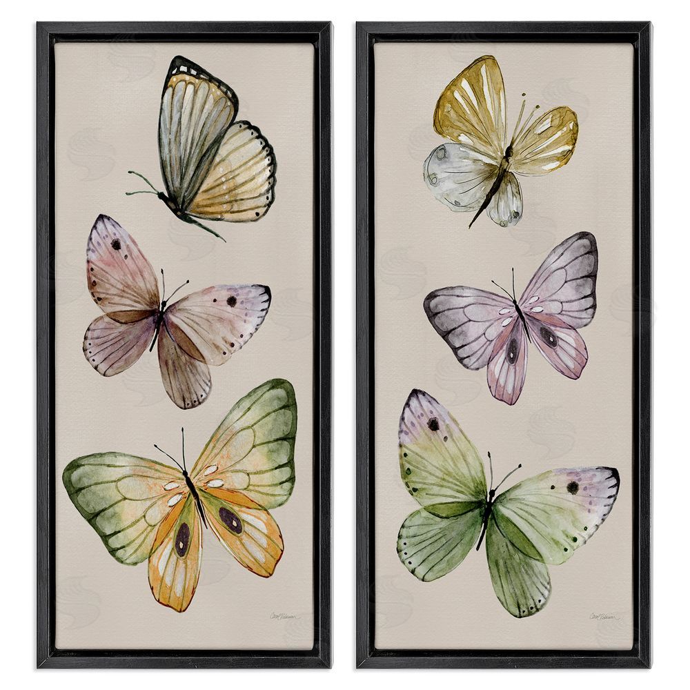 Carol Robinson Delicate Winged Butterfly Trio Black Floating Frame Canvas Wall Art Print