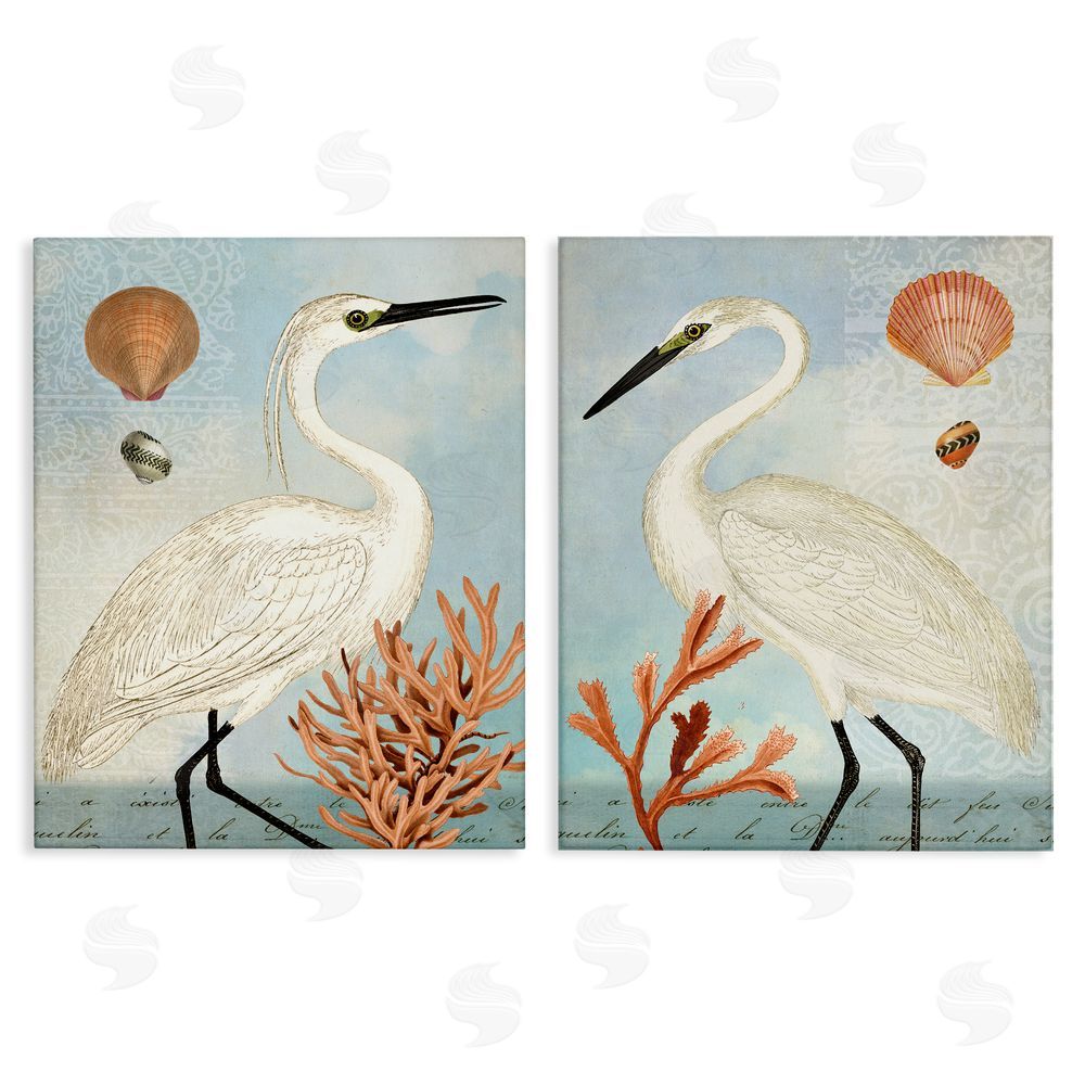 Susan Arnot Beach Items Shell Heron Egret Canvas Wall Art Print