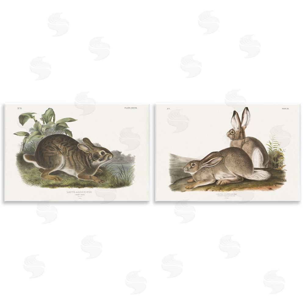 Wild Apple Portfolio Gentle Resting Cottage Rabbit  Wooden Wall Plaque Art Print