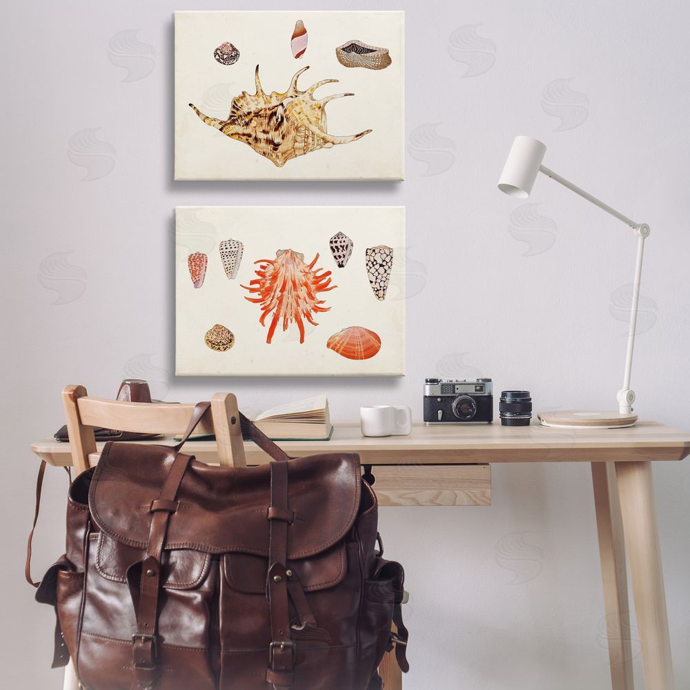 Vision Studio Antique Shell Anthology Canvas Wall Art Print in Room