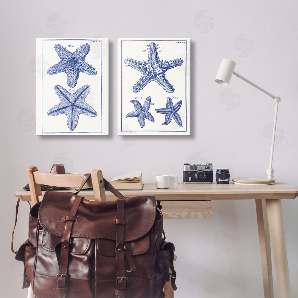 Vision Studio Diagram of a Starfish  Canvas Wall Art Print in Room