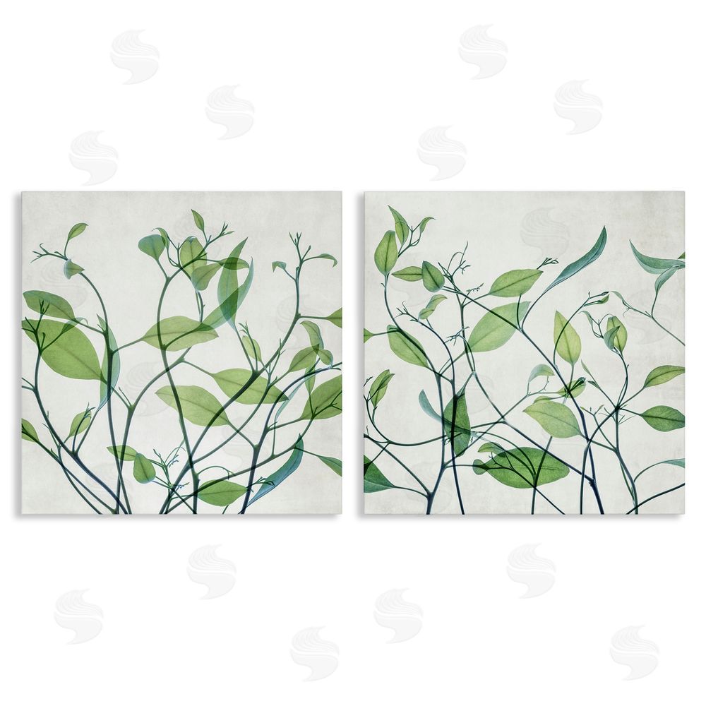 Victoria Barnes Green Botanical Leaves Xray Canvas Wall Art Print