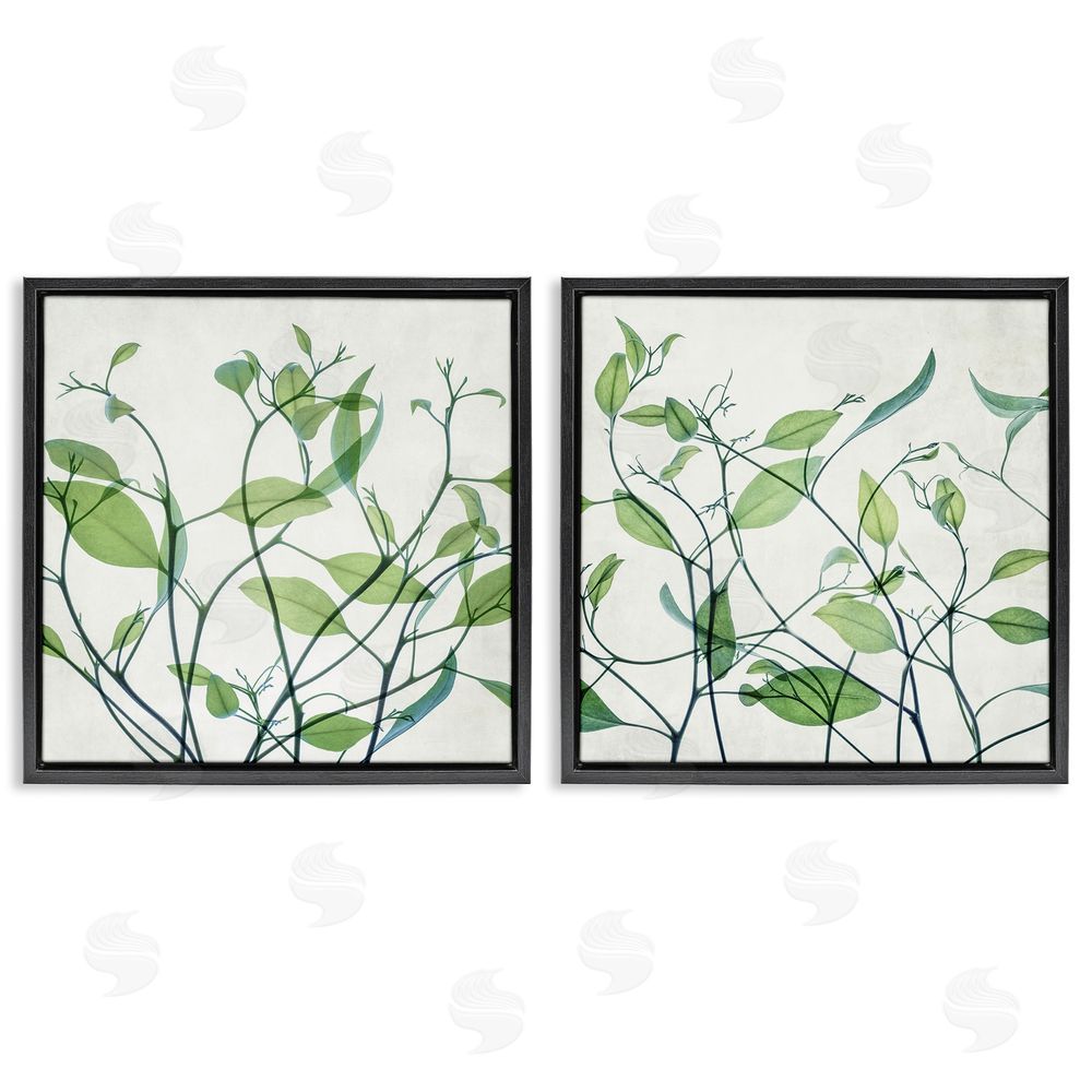 Victoria Barnes Green Botanical Leaves Xray Black Floating Frame Canvas Wall Art Print