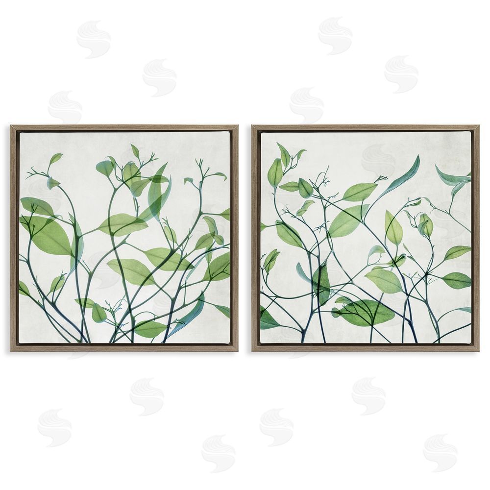 Victoria Barnes Green Botanical Leaves Xray Brown Floating Frame Canvas Wall Art Print