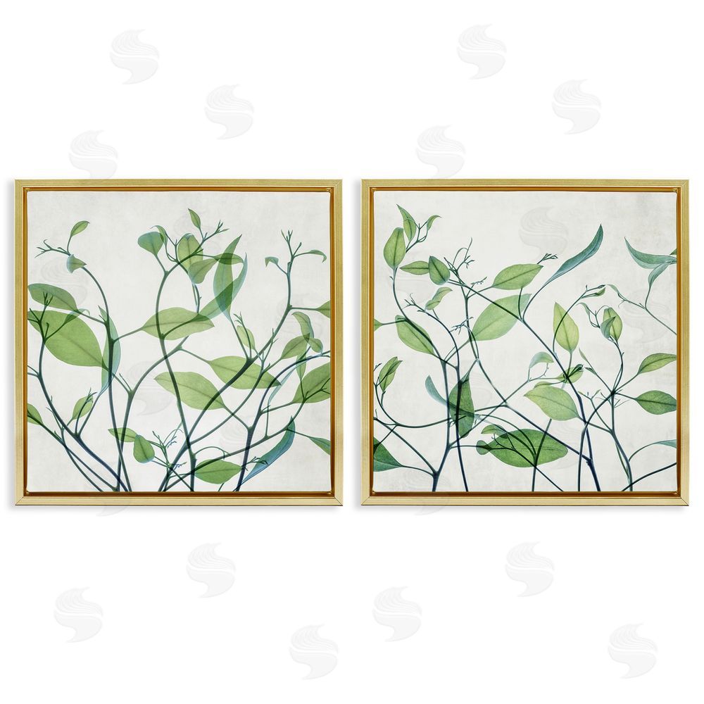 Victoria Barnes Green Botanical Leaves Xray Gold Floating Frame Canvas Wall Art Print