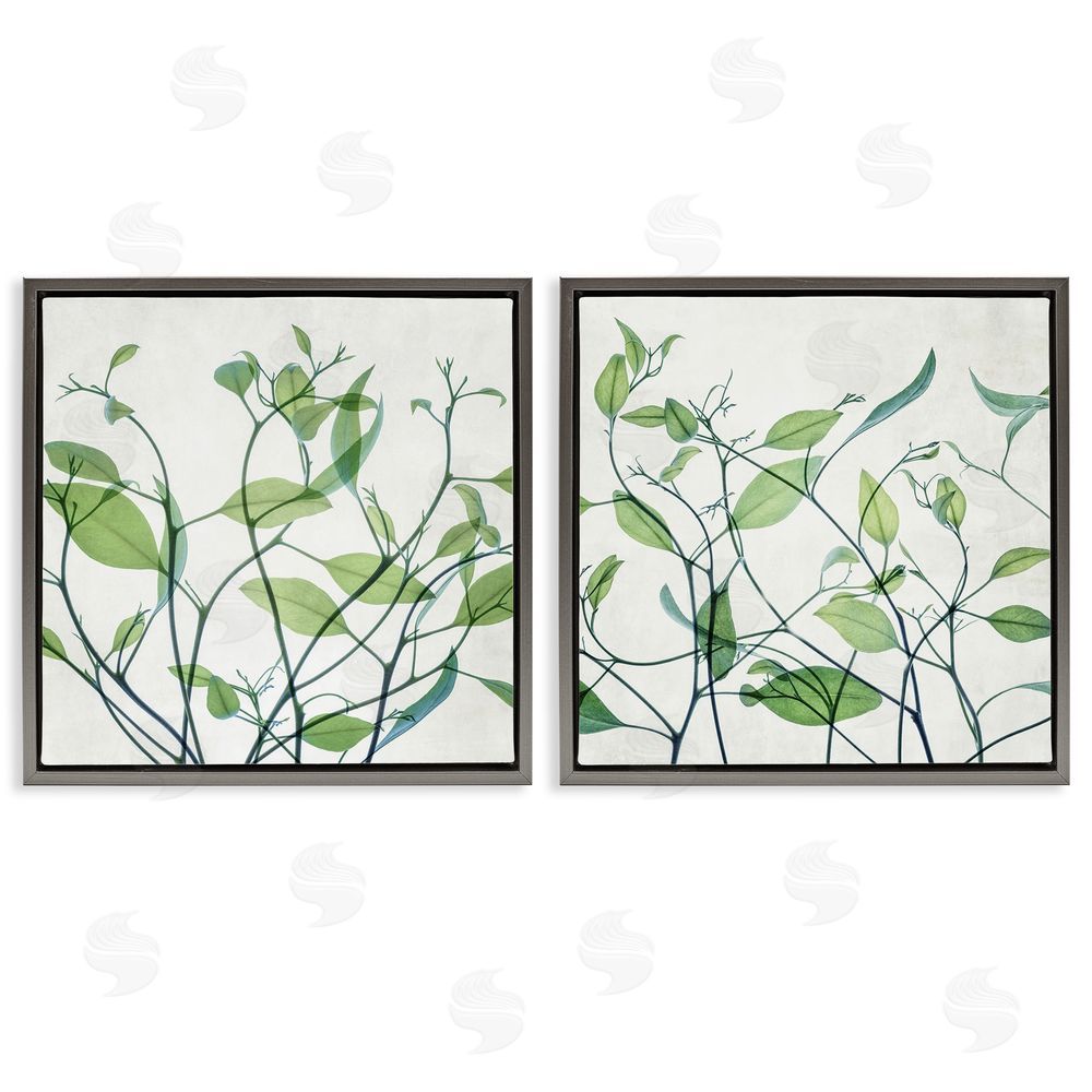 Victoria Barnes Green Botanical Leaves Xray Gray Floating Frame Canvas Wall Art Print