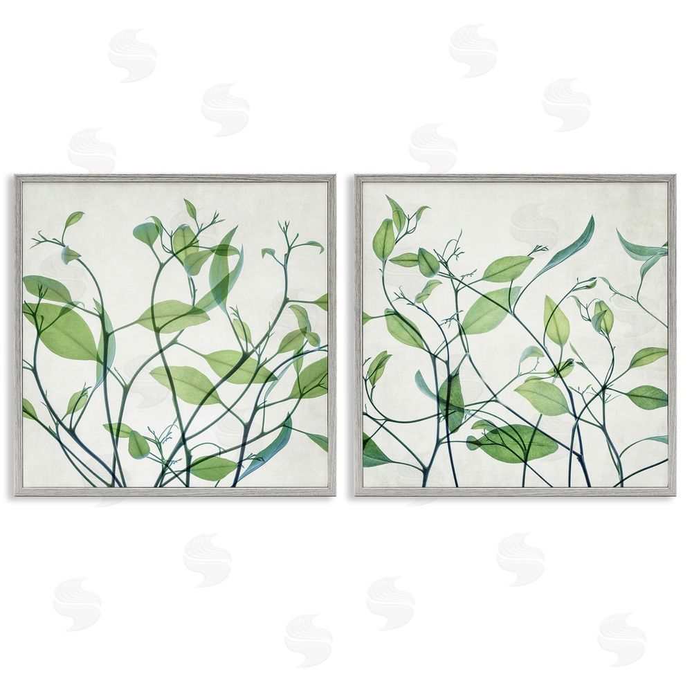 Victoria Barnes Green Botanical Leaves Xray Gray Framed Giclee Wall Art Print