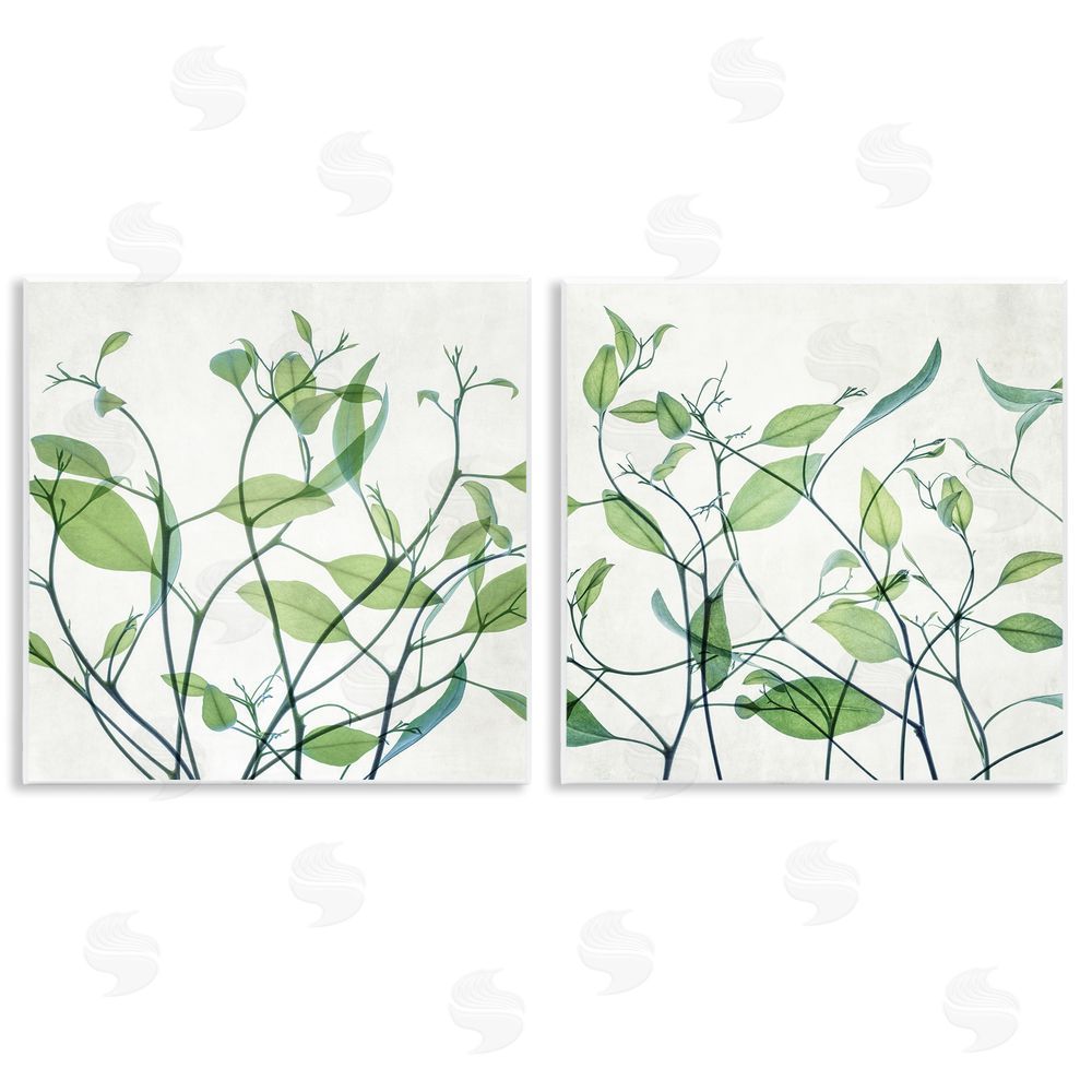 Victoria Barnes Green Botanical Leaves Xray Wooden Wall Plaque Art Print
