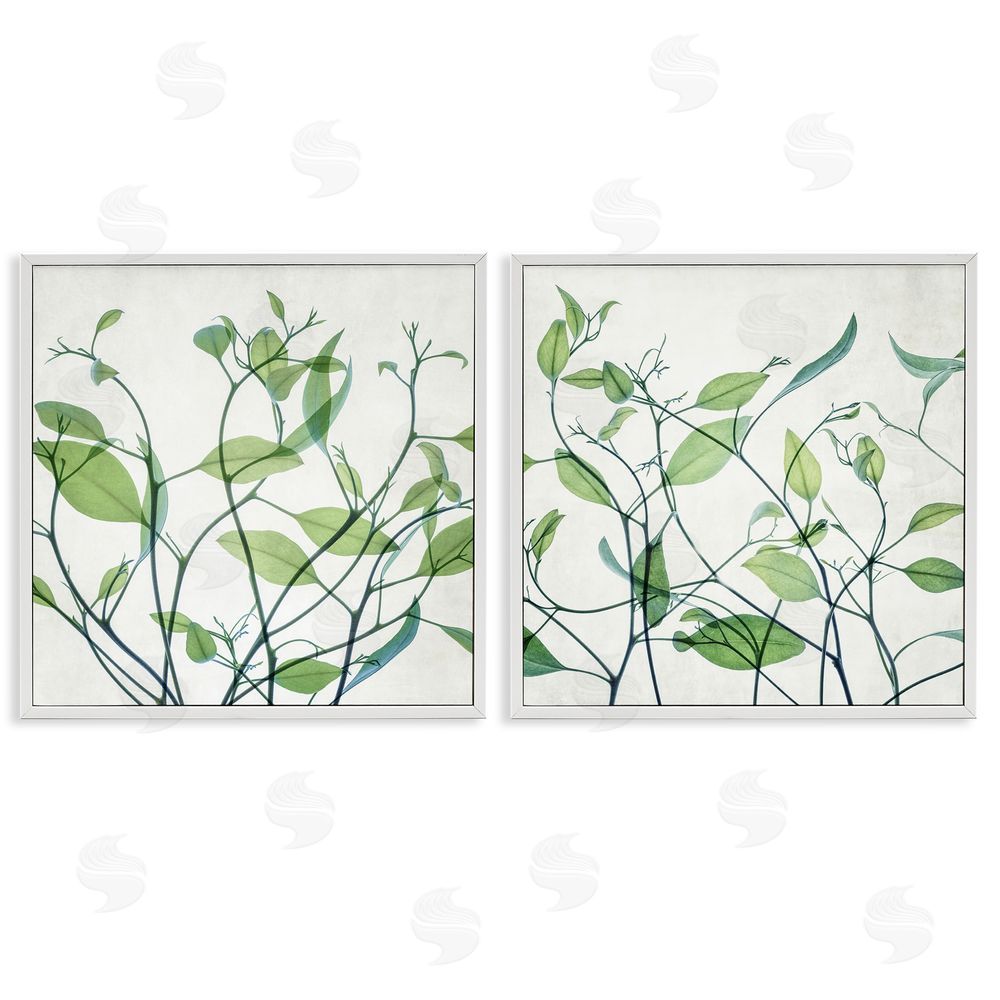 Victoria Barnes Green Botanical Leaves Xray White Framed Giclee Wall Art Print