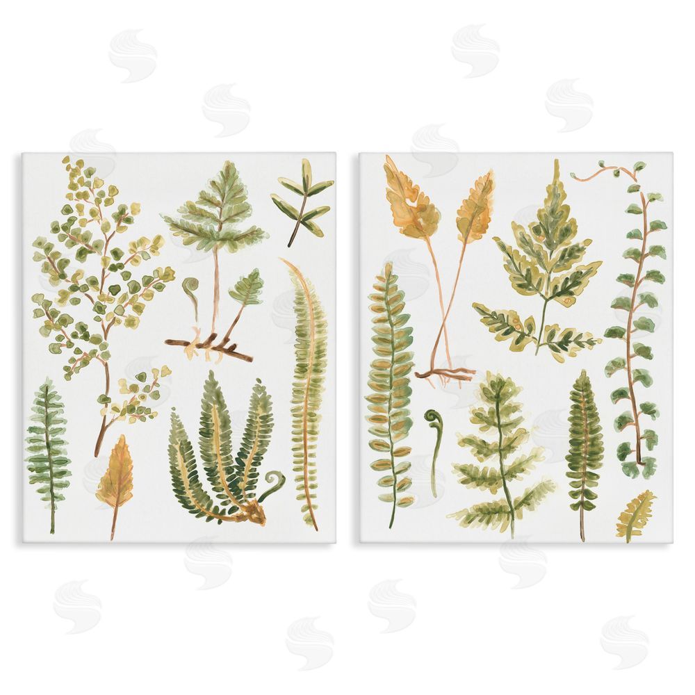 June Erica Vess Watercolor Fern Leaves  Canvas Wall Art Print