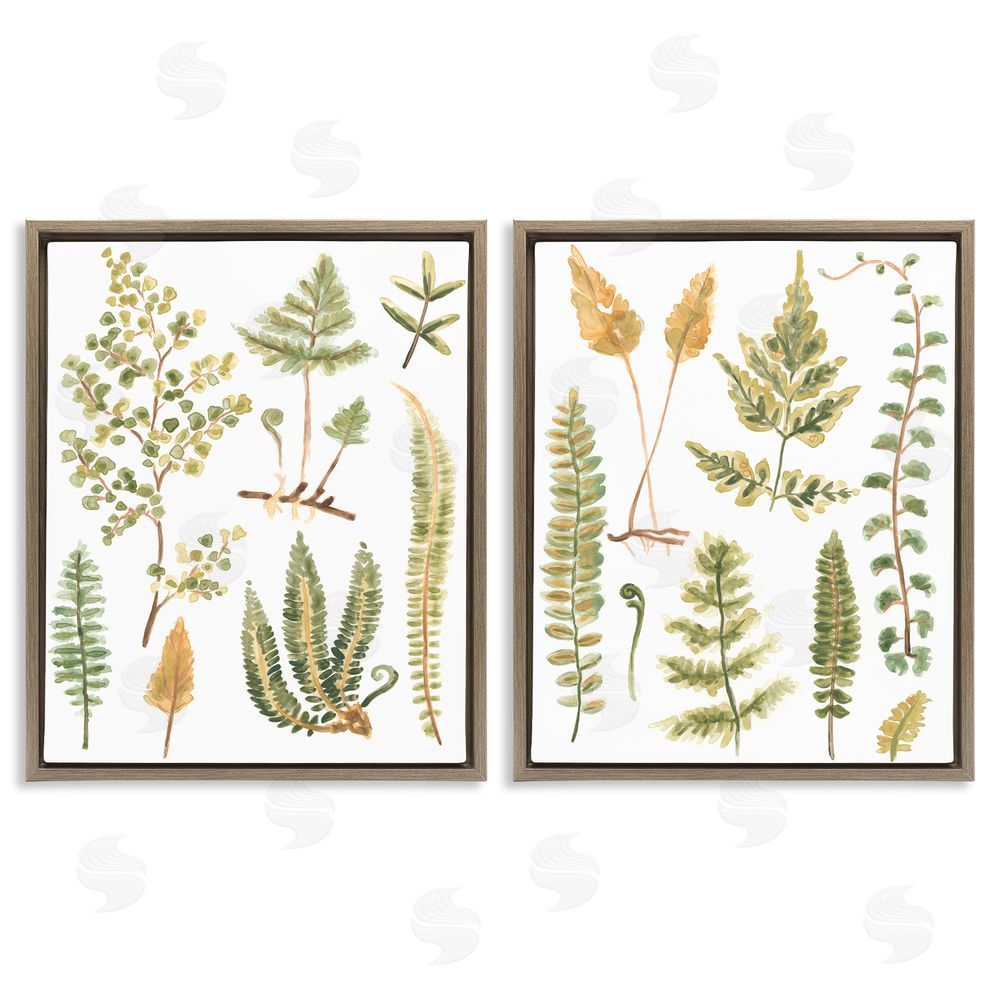 June Erica Vess Watercolor Fern Leaves  Brown Floating Frame Canvas Wall Art Print