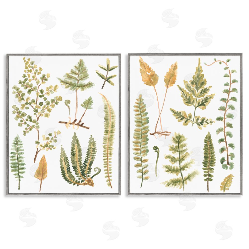 June Erica Vess Watercolor Fern Leaves  Gray Framed Giclee Wall Art Print