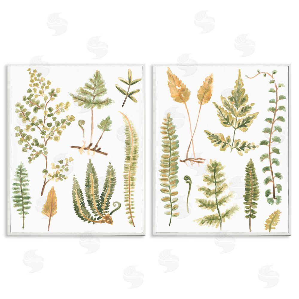 June Erica Vess Watercolor Fern Leaves  White Framed Giclee Wall Art Print
