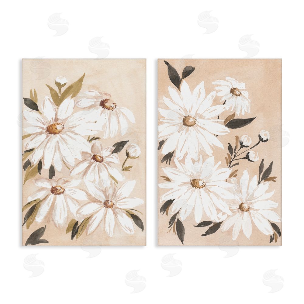 Amanda Cook White Daises on Peach  Canvas Wall Art Print