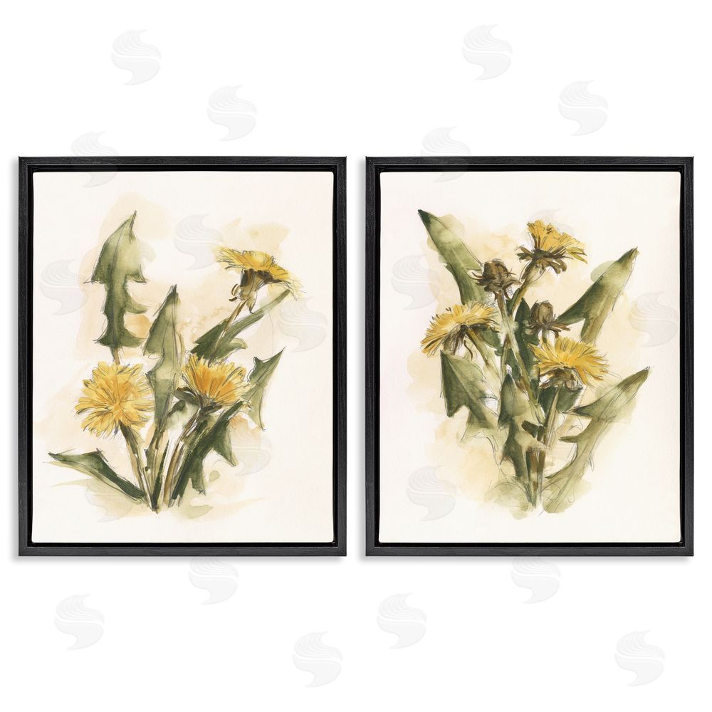 Ethan Harper Dandelion Watercolor Sketch  Black Floating Frame Canvas Wall Art Print