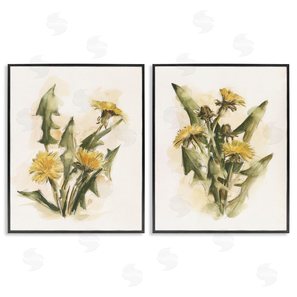 Ethan Harper Dandelion Watercolor Sketch  Black Framed Giclee Wall Art Print