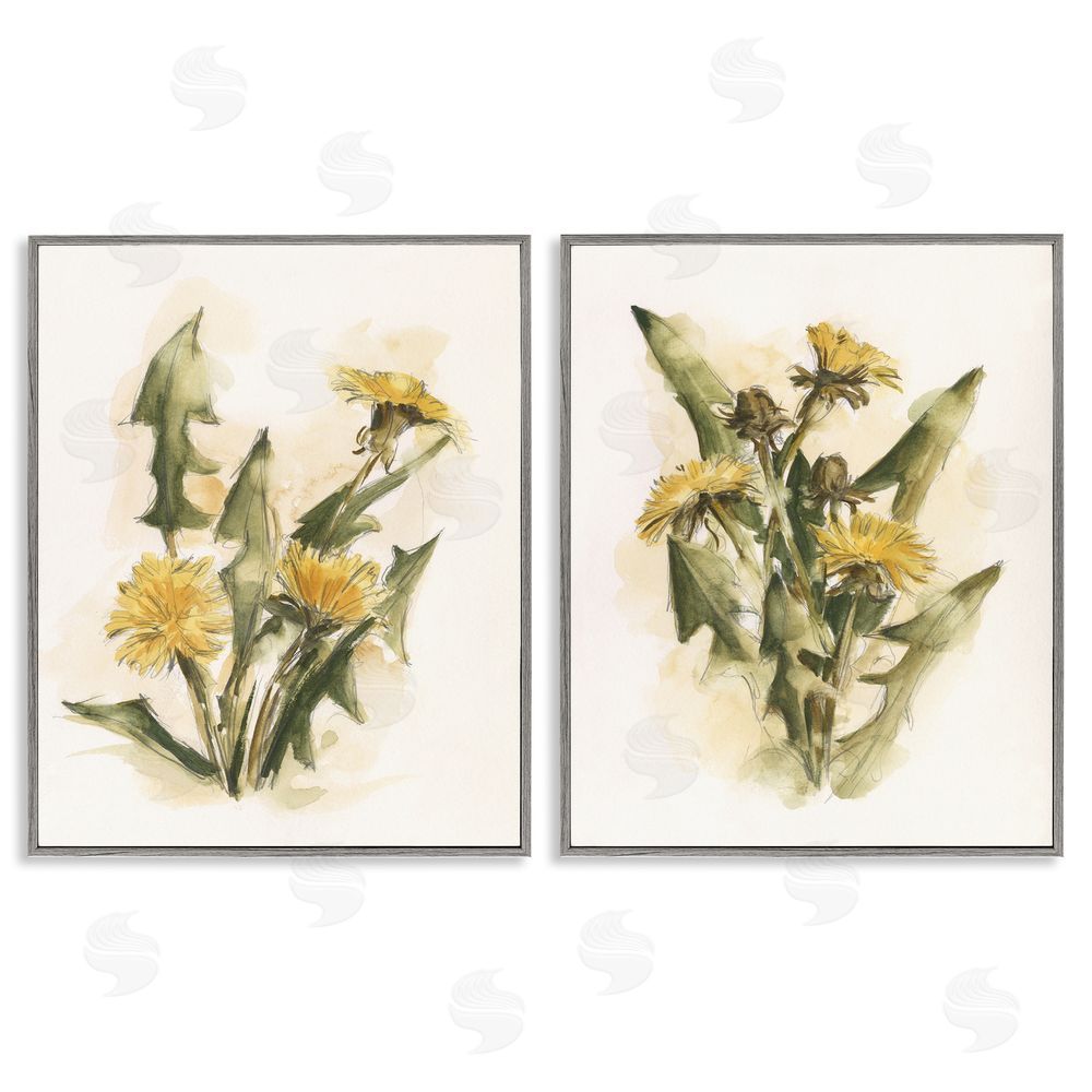 Ethan Harper Dandelion Watercolor Sketch  Gray Framed Giclee Wall Art Print