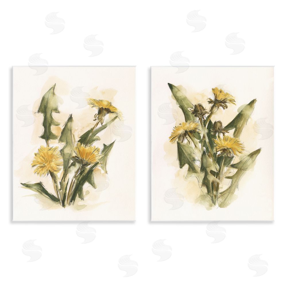 Ethan Harper Dandelion Watercolor Sketch  Wooden Wall Plaque Art Print