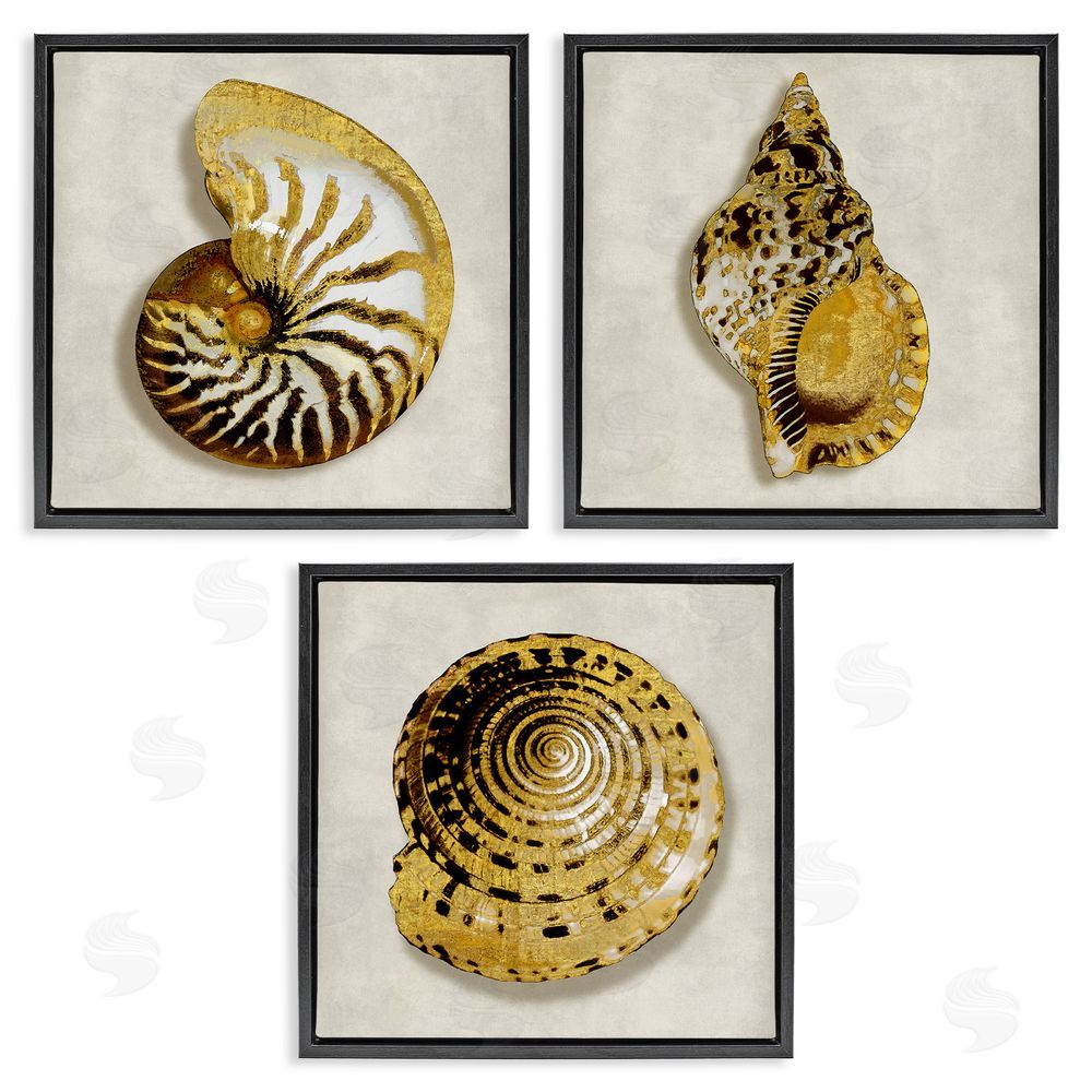 Caroline Kelly Golden Spiral Seashells with Intricate Patterns Black Floating Frame Canvas Wall Art Print