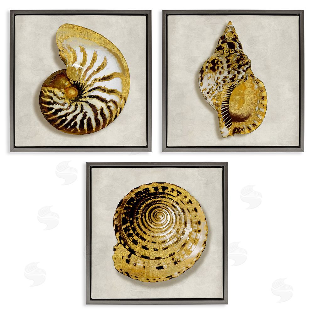 Caroline Kelly Golden Spiral Seashells with Intricate Patterns Gray Floating Frame Canvas Wall Art Print