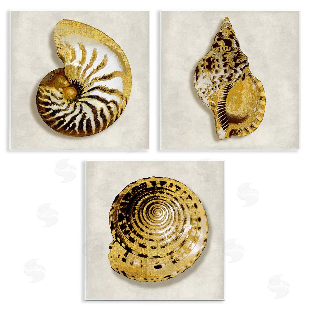 Caroline Kelly Golden Spiral Seashells with Intricate Patterns Wooden Wall Plaque Art Print