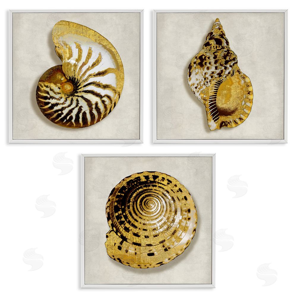 Caroline Kelly Golden Spiral Seashells with Intricate Patterns White Framed Giclee Wall Art Print
