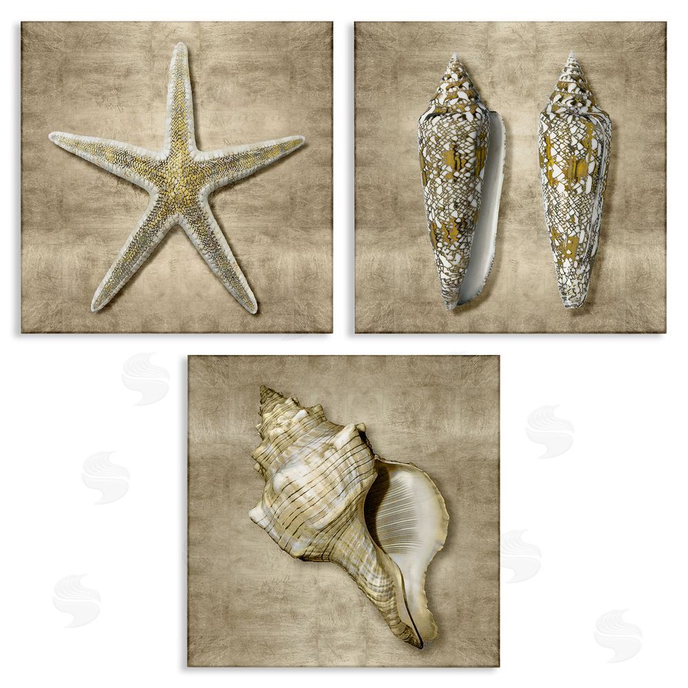 Caroline Kelly Nautical Shells Beach Starfish Gold Brown Canvas Wall Art Print