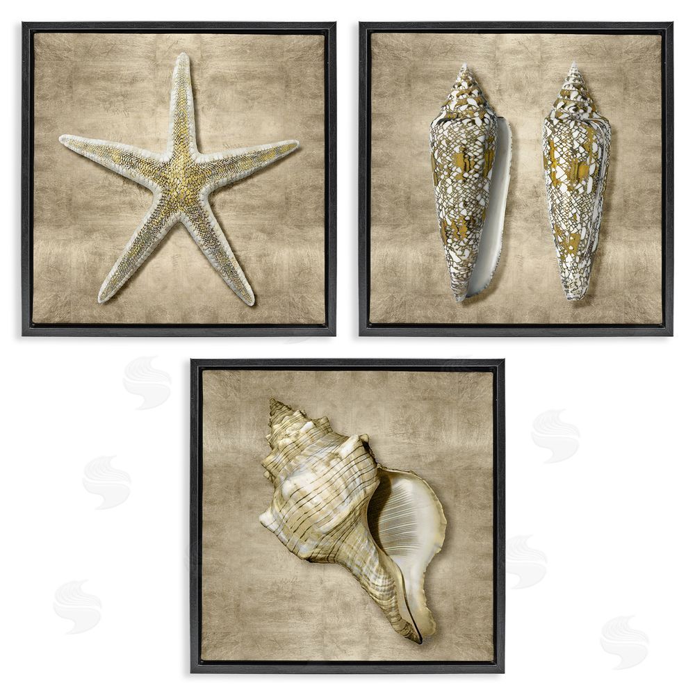 Caroline Kelly Nautical Shells Beach Starfish Gold Brown Black Floating Frame Canvas Wall Art Print