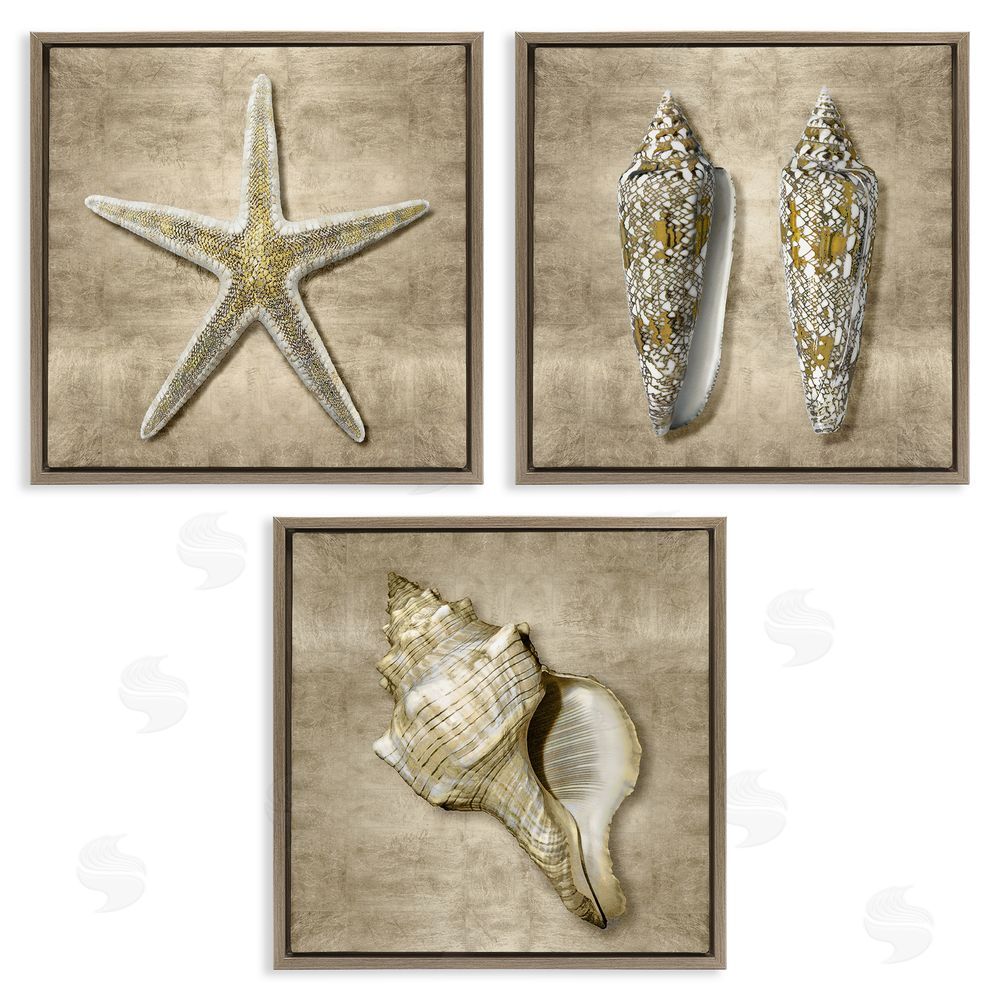 Caroline Kelly Nautical Shells Beach Starfish Gold Brown Brown Floating Frame Canvas Wall Art Print